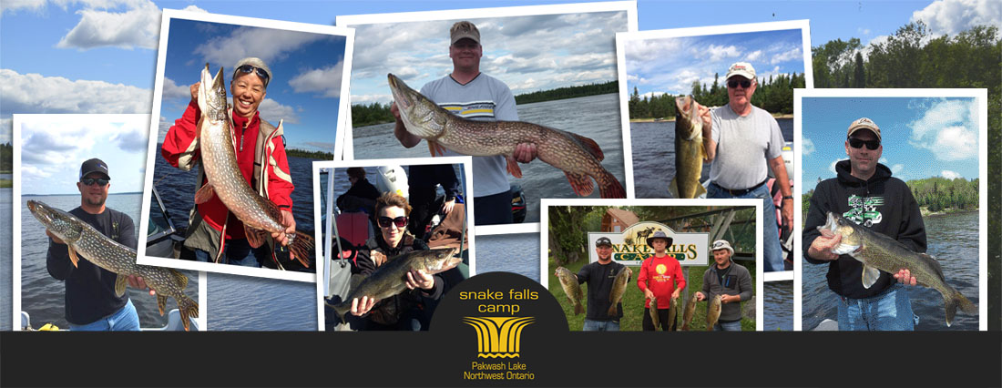 Great Fishing